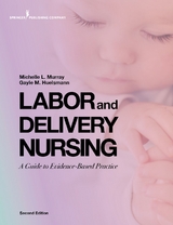 Labor and Delivery Nursing, Second Edition - RNC Gayle Huelsmann BSN, RNC Michelle Murray PhD