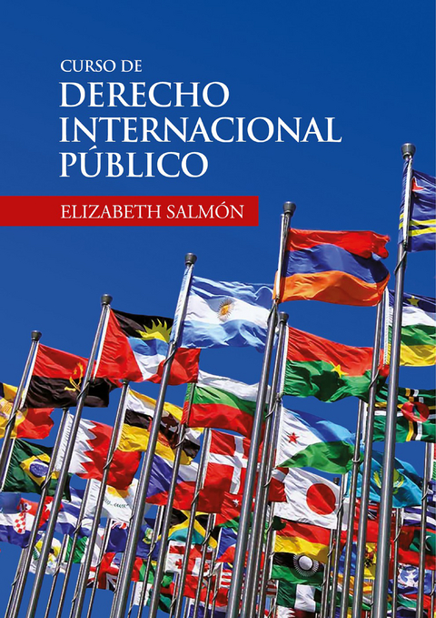 Curso de derecho internacional público - Elizabeth Salmón