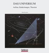 Das Universum - David Layzer