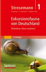 Wirbellose (ohne Insekten) - Stresemann, Erwin; Hannemann, Hans-Joachim; Klausnitzer, Bernhard; Senglaub, Konrad