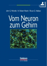 Vom Neuron zum Gehirn - John G Nicholls, Robert Martin, Bruce G Wallace