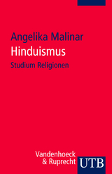 Hinduismus - Angelika Malinar