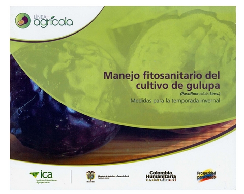 Manejo fitosanitario del cultivo de gulupa (Passiflora edulis Sims.): Medidas para la temporada invernal - Licino Garrido