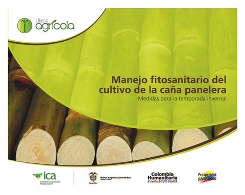 Manejo fitosanitario del cultivo de la caña panelera, medidas para la temporada invernal - German Tarazona