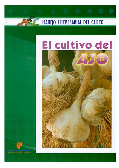 El cultivo del ajo - Hernán Pinzón