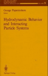 Hydrodynamic Behavior and Interacting Particle Systems - 