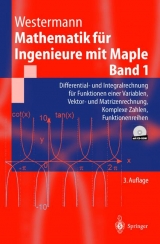 Mathematik für Ingenieure mit Maple. Band 1 - Westermann, Thomas