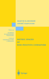 Metric Spaces of Non-Positive Curvature - Martin R. Bridson, André Häfliger