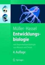 Entwicklungsbiologie - Werner A. Müller, Monika Hassel