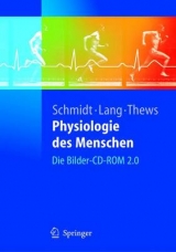 Physiologie des Menschen - Schmidt, Robert F.; Lang, Florian; Thews, Gerhard