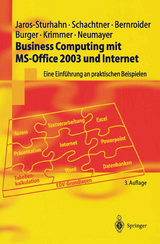 Business Computing mit MS-Office 2003 und Internet - Jaros-Sturhahn, Anke; Schachtner, Konrad; Bernroider, Edward; Burger, Michael; Krimmer, Robert; Neumayer, Nikolai