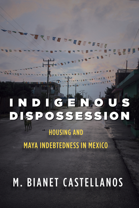 Indigenous Dispossession -  M. Bianet Castellanos