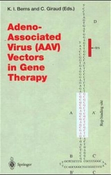 Adeno-Associated Virus (AVV) Vectors in Gene Therapy - 