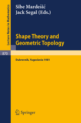 Shape Theory and Geometric Topology - 
