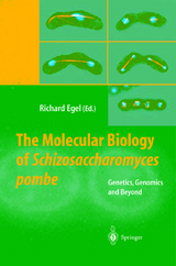 The Molecular Biology of Schizosaccharomyces pombe - 