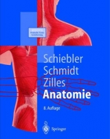 Anatomie - Schiebler, Theodor H.; Schmidt, Walter; Zilles, Karl