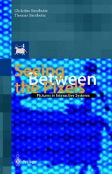Seeing between the Pixels - Christine Strothotte, Thomas Strothotte
