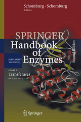 Class 2 Transferases - 