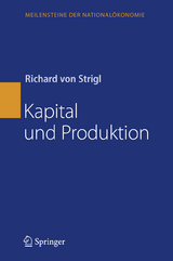 Kapital und Produktion - Richard Strigl