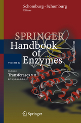 Class 2 Transferases VII - 