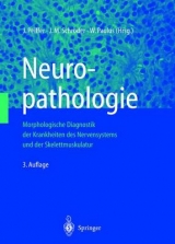 Neuropathologie - 