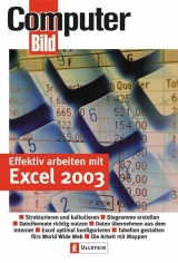 Effektiv arbeiten mit Excel 2003 - 