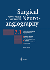 Surgical Neuroangiography - Berenstein, Alejandro; Lasjaunias, Pierre; brugge, Karel G.