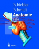 Anatomie - Schiebler, Theodor H.
