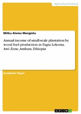 Annual income of small-scale plantation by wood fuel production in Fagta Lekoma, Awi Zone, Amhara, Ethiopia - Mitku Alemu Mengistu