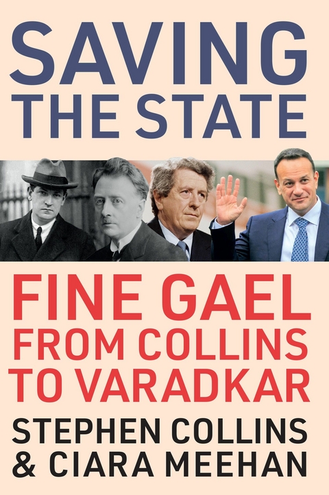 Saving the State - Stephen Collins, Ciara Meehan