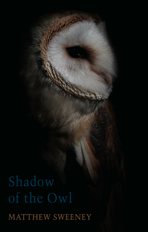 Shadow of the Owl -  Matthew Sweeney