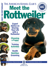 Meet the Rottweiler -  American Kennel Club