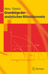 Grundzüge der analytischen Mikroökonomie - Thorsten Hens, Paolo Pamini