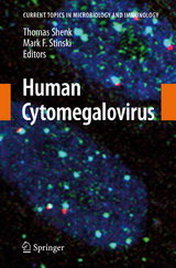 Human Cytomegalovirus - 