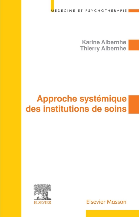 Approche systémique des institutions de soins -  Thierry Albernhe,  Karine Albernhe