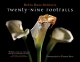 Twenty-Nine Footfalls - Debra Danz-Solitario