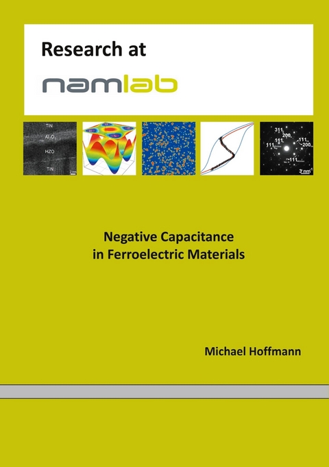 Negative Capacitance in Ferroelectric Materials -  Michael Hoffmann