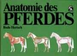 Anatomie des Pferdes - Bodo Hertsch