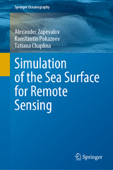 Simulation of the Sea Surface for Remote Sensing - Alexander Zapevalov, Konstantin Pokazeev, Tatiana Chaplina