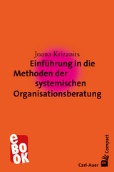 Einführung in die Methoden der systemischen Organisationsberatung - Joana Krizanits