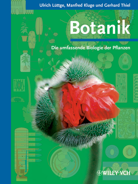 Botanik -  Ulrich Lüttge,  Manfred Kluge,  Gerhard Thiel