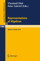 Representations of Algebras - 
