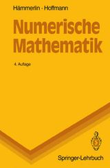 Numerische Mathematik - Hämmerlin, Günther; Hoffmann, Karl-Heinz