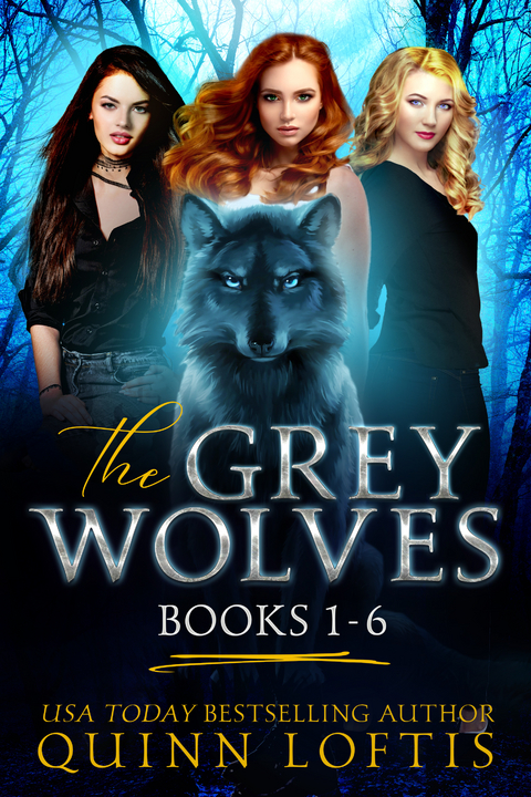 The Grey Wolves Series Books 1-6 - Quinn Loftis