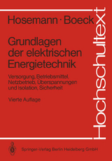 Grundlagen der elektrischen Energietechnik - Hosemann, Gerhard; Boeck, Wolfram