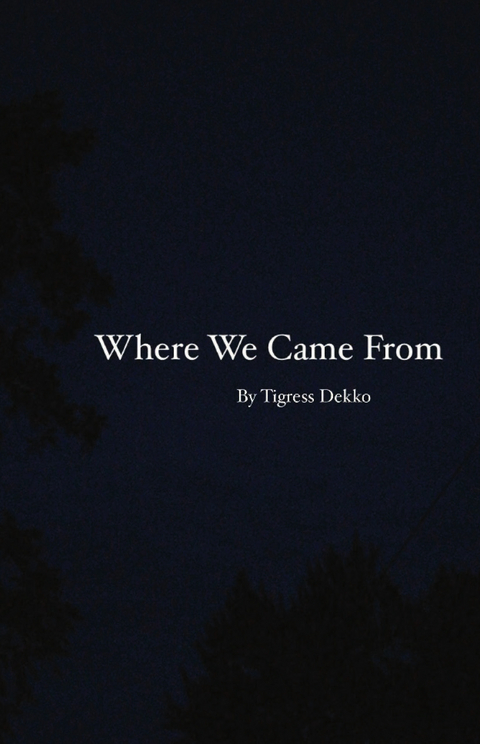 Where We Came From - Tigress Dekko