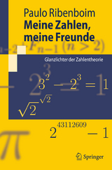 Meine Zahlen, meine Freunde - Paulo Ribenboim