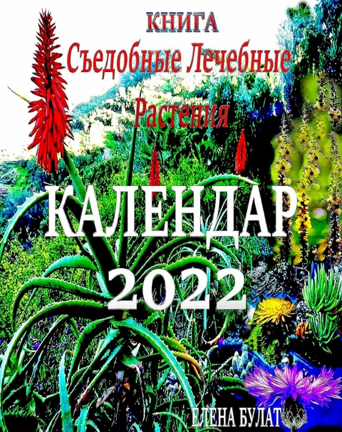 Книга. Календар 2022 - Elena Pankey, Elena Bulat