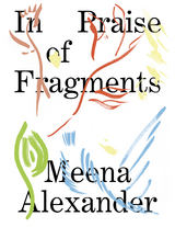 In Praise of Fragments -  Meena Alexander