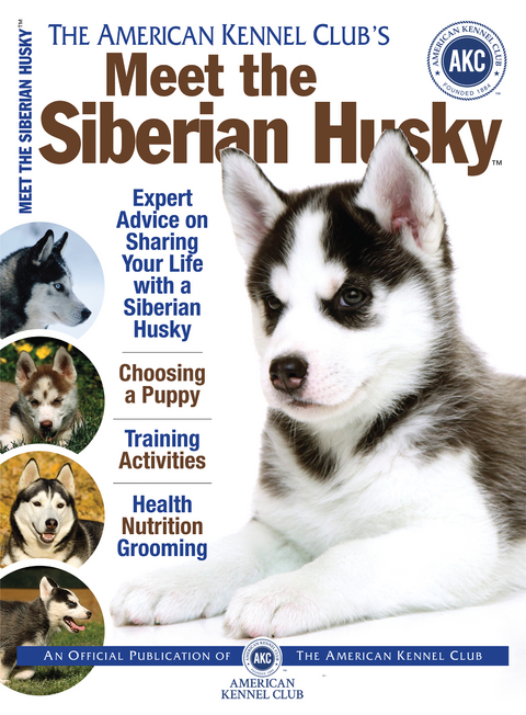 Meet the Siberian Husky